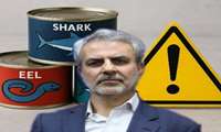 فلزات سنگین در ماهی‌های حرام‌گوشت؛ خطری پنهان در بازار کنسرو ماهی
